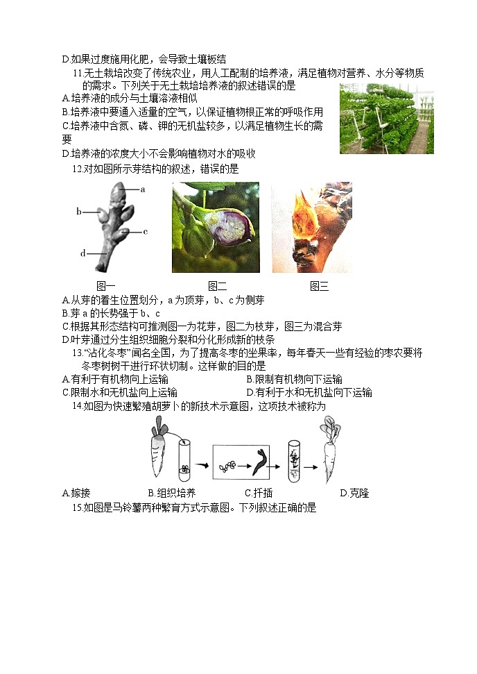 （教研室提供）山东省菏泽市东明县2024-2025学年八年级上学期期中考试生物试题第3页