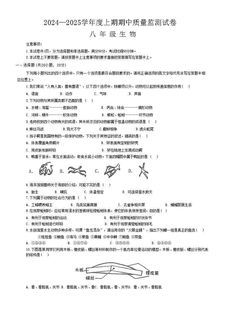 河南省罗山县2024-2025上期期中八年级生物试卷第1页