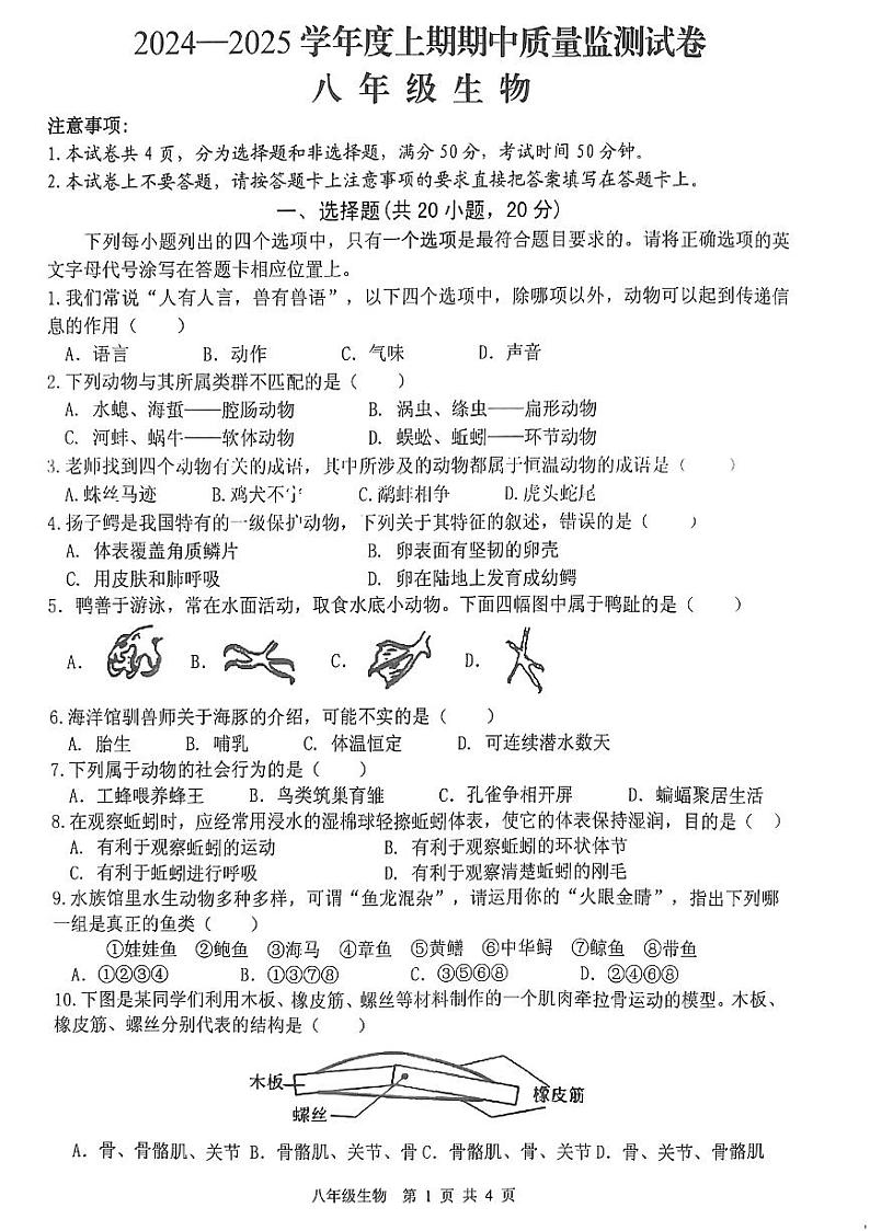 河南省罗山县2024-2025上期期中八年级生物试卷第1页