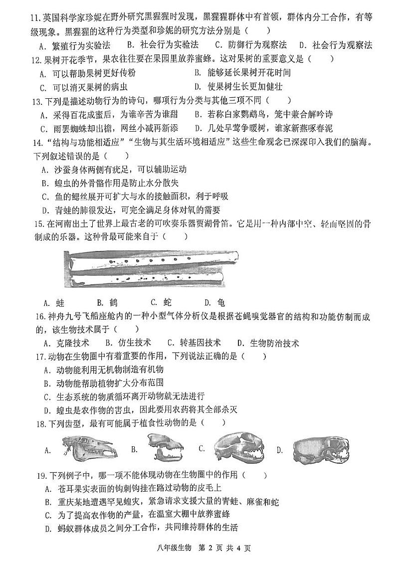 河南省罗山县2024-2025上期期中八年级生物试卷第2页