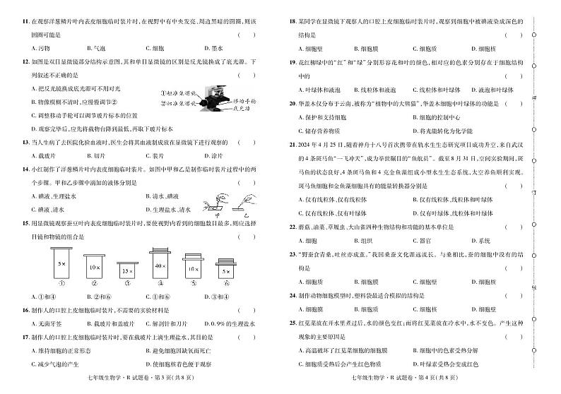 2024——2025学年上学期云南省曲靖市七年级生物考试卷·阶段评估卷(一)第2页