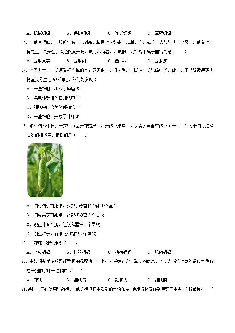 2024-2025学年甘肃省白银市七年级（上）期中生物试卷  含详解03