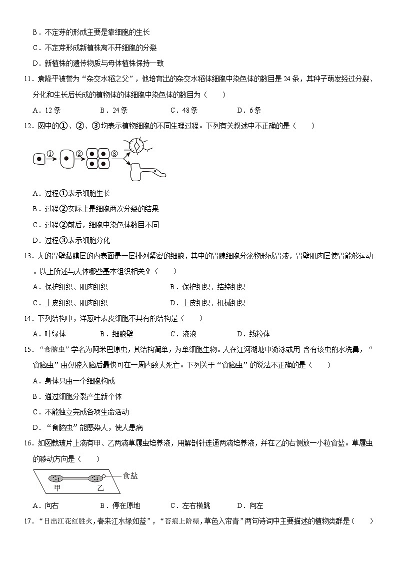 2024-2025学年吉林省长春市榆树市慧望中学七年级（上）期中生物试卷  含详解第3页