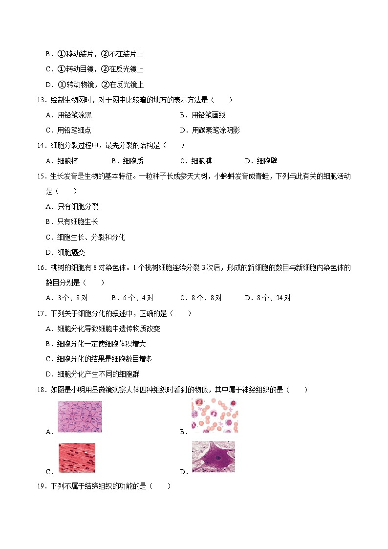 2024-2025学年陕西省西安市灞桥区七年级（上）期中生物试卷  含详解03