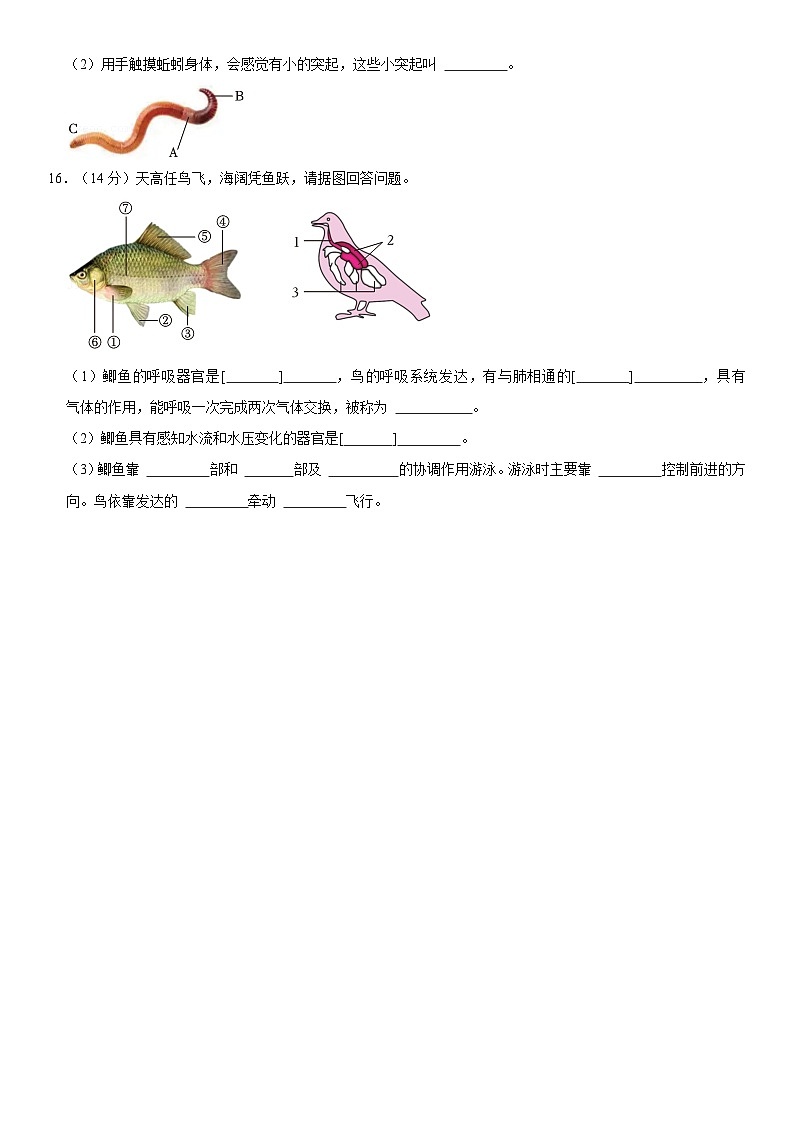 2024-2025学年西藏日喀则市昂仁县八年级（上）期中生物试卷  含详解第3页