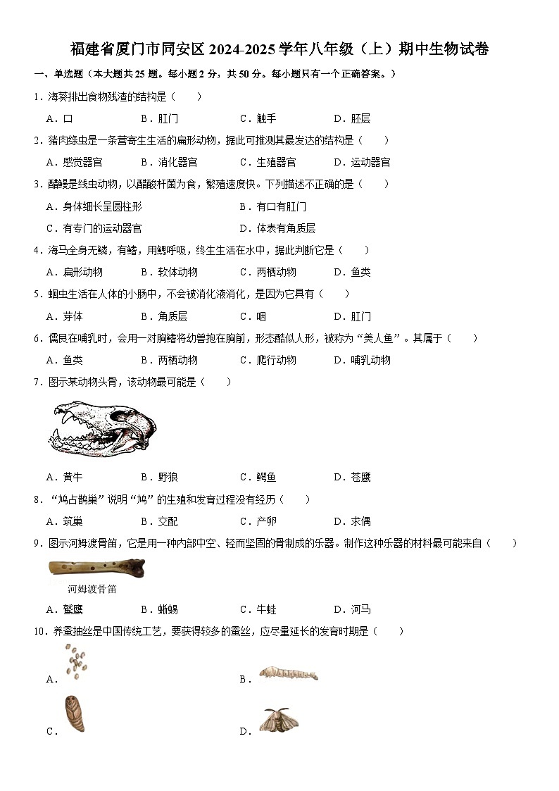 福建省厦门市同安区2024-2025学年八年级（上）期中生物试卷  含详解第1页