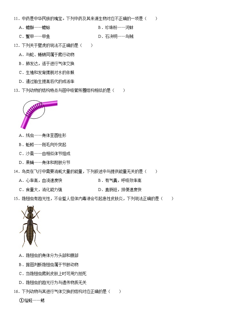 福建省厦门市同安区2024-2025学年八年级（上）期中生物试卷  含详解第2页