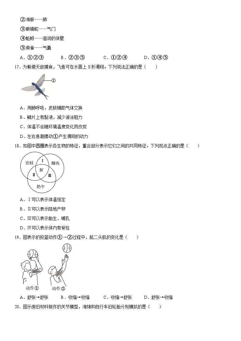 福建省厦门市同安区2024-2025学年八年级（上）期中生物试卷  含详解第3页