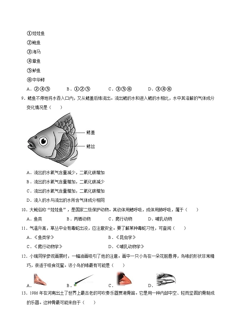 广西柳州市柳北区2024-2025学年八年级（上）期中生物试卷  含详解第2页