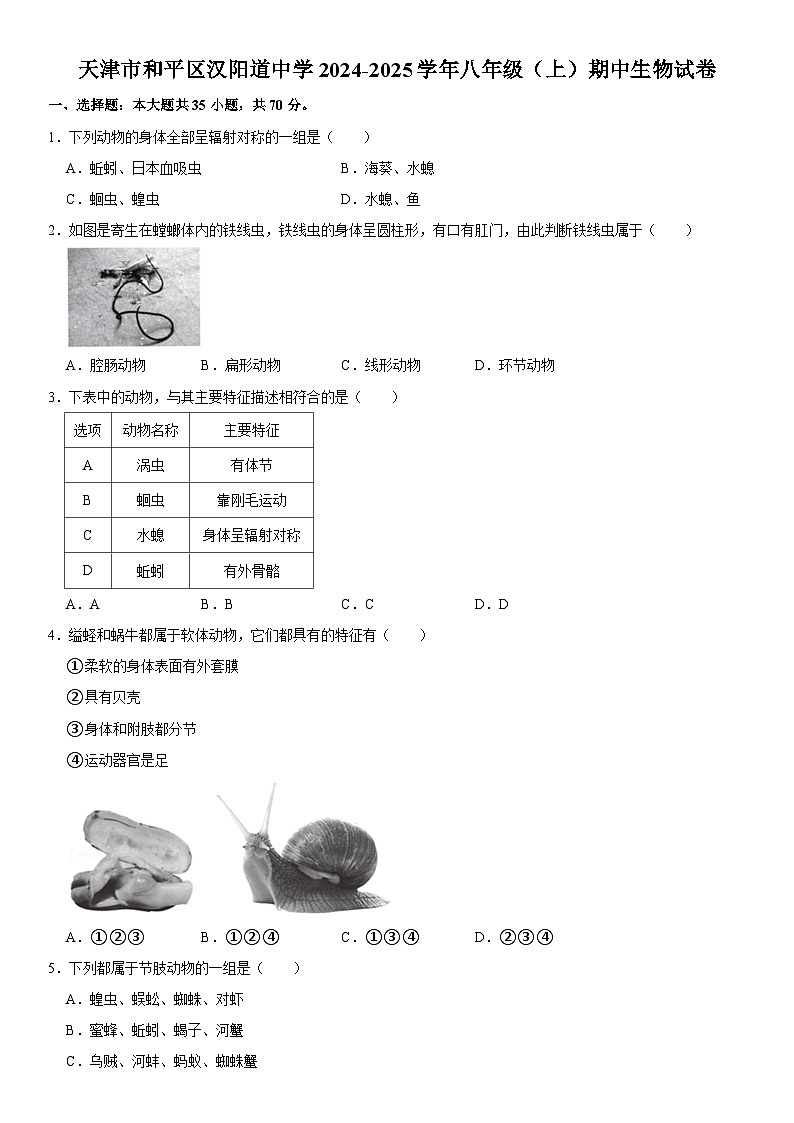天津市和平区汉阳道中学2024-2025学年八年级（上）期中生物试卷  含详解第1页