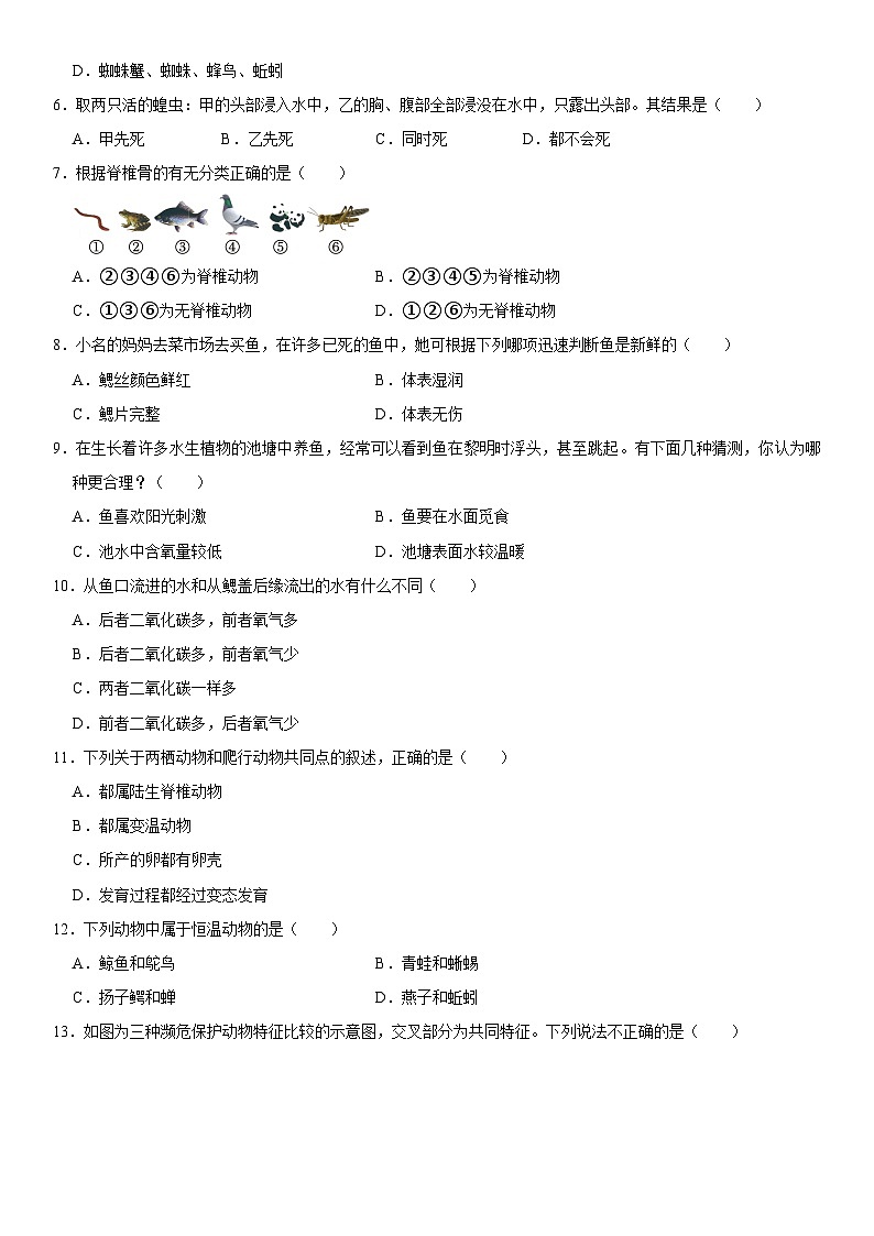天津市和平区汉阳道中学2024-2025学年八年级（上）期中生物试卷  含详解第2页