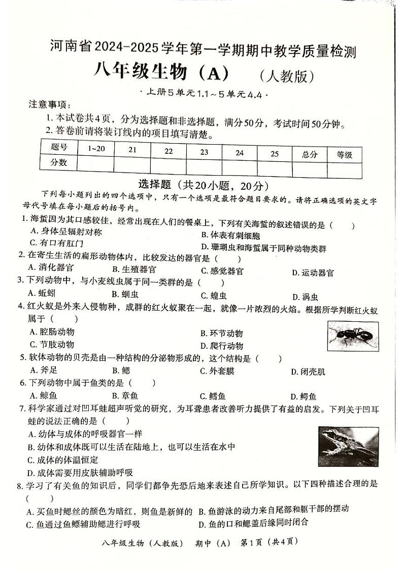 河南省郑州市新郑市2024-2025学年八年级上学期11月期中生物试题第1页