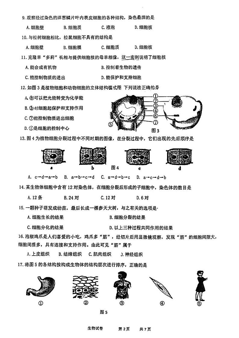 福建省闽南师范大学附属中学2024-2025学年七年级上学期期中考试生物试题02