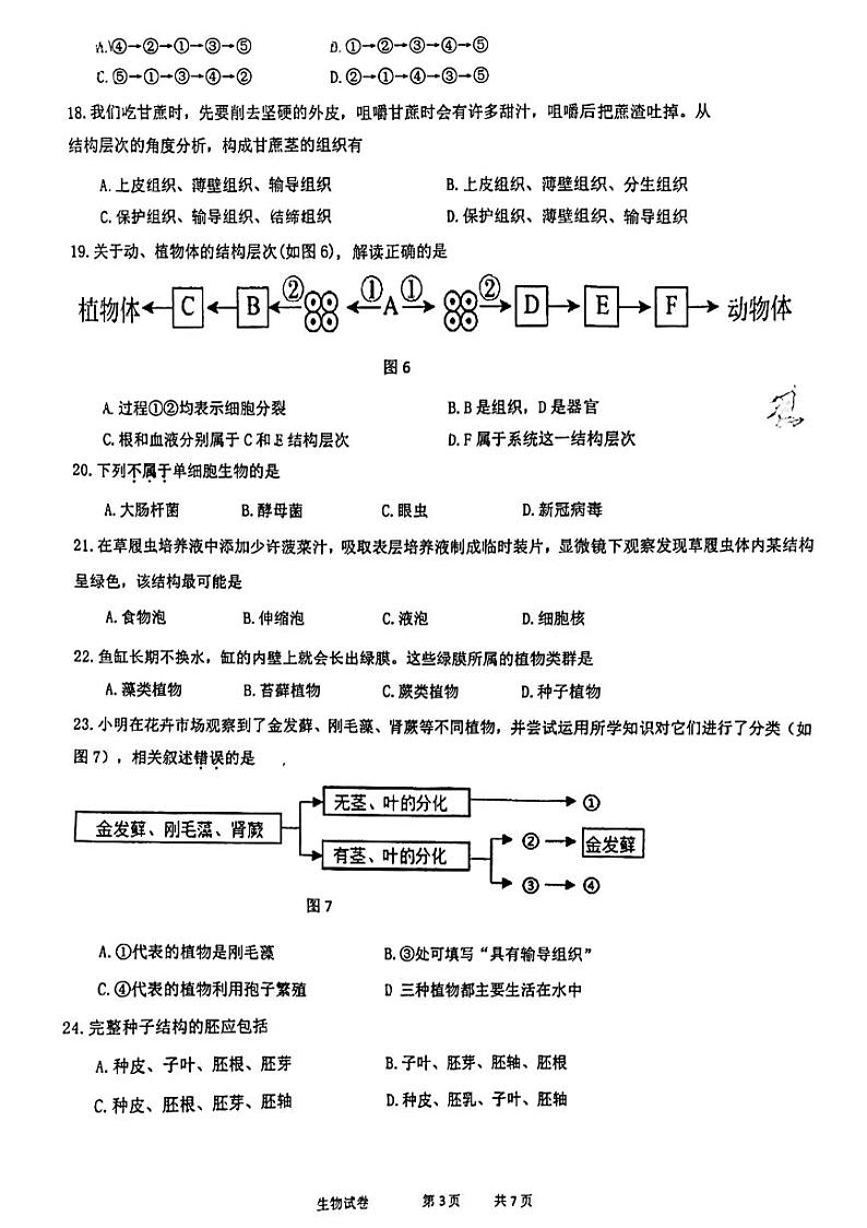福建省闽南师范大学附属中学2024-2025学年七年级上学期期中考试生物试题03