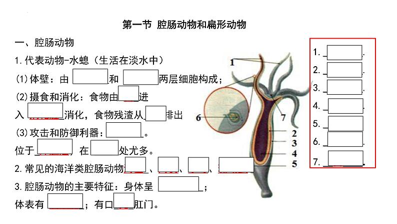 人教版生物八年级上册期末考试知识点汇总（课件）第1页