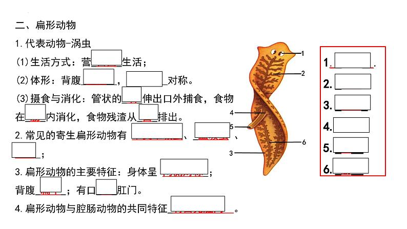 人教版生物八年级上册期末考试知识点汇总（课件）第2页