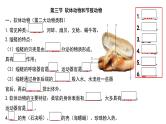 人教版生物八年级上册期末考试知识点汇总（课件）