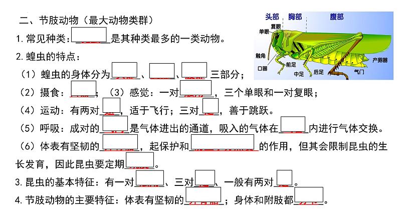 人教版生物八年级上册期末考试知识点汇总（课件）第6页