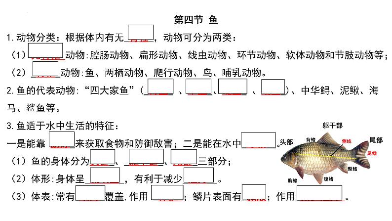 人教版生物八年级上册期末考试知识点汇总（课件）第7页