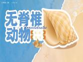 人教版生物七年级上册2.2.1《无脊椎动物》课件