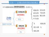 人教版生物七年级上册2.2.1《无脊椎动物》课件