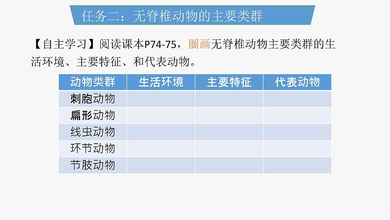 人教版生物七年级上册2.2.1《无脊椎动物》课件第5页