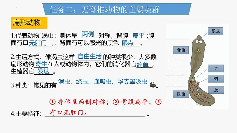 人教版生物七年级上册2.2.1《无脊椎动物》课件第8页