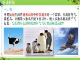 人教版生物七年级上册2.2.2《脊椎动物（三、鸟和哺乳动物）》课件