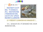 人教版生物七年级上册2.2.2《脊椎动物—两栖动物和爬行动物》教学课件