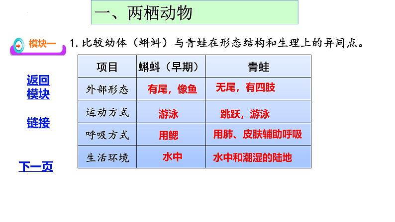 人教版生物七年级上册2.2.2《脊椎动物—两栖动物和爬行动物》教学课件第7页