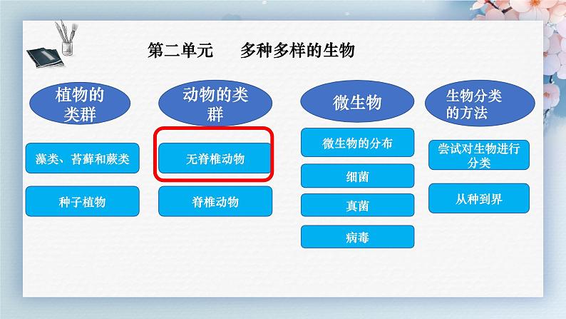 人教版生物七年级上册2.2.2《无脊椎动物》（第2课时）课件01