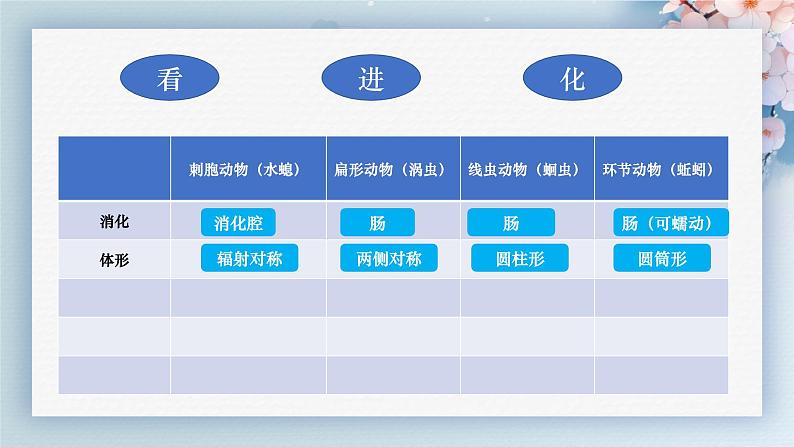 人教版生物七年级上册2.2.2《无脊椎动物》（第2课时）课件02