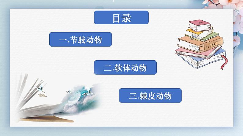 人教版生物七年级上册2.2.2《无脊椎动物》（第2课时）课件04