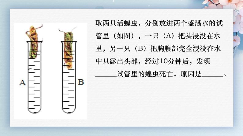 人教版生物七年级上册2.2.2《无脊椎动物》（第2课时）课件05