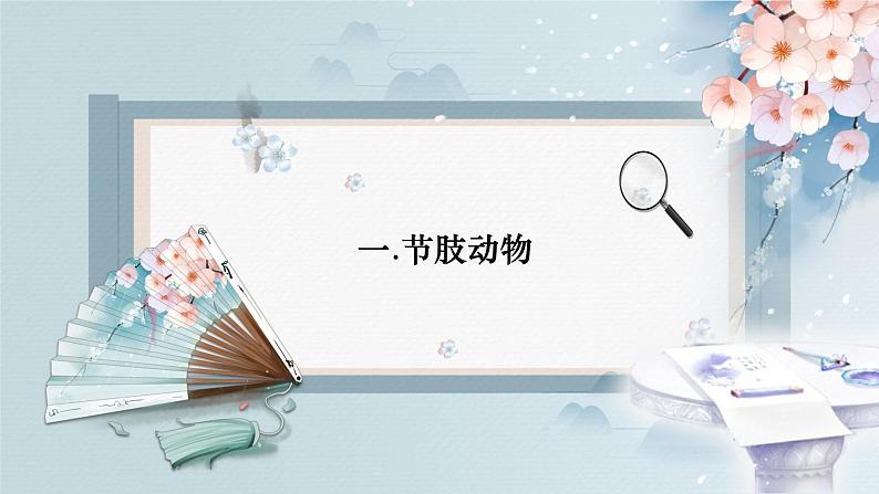 人教版生物七年级上册2.2.2《无脊椎动物》（第2课时）课件06