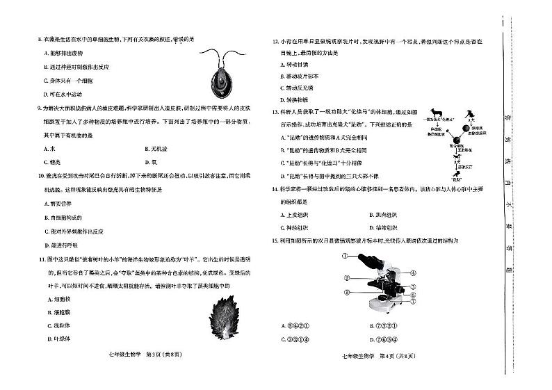 山西省太原市2024-2025学年七年级上学期期中测评生物试卷第2页