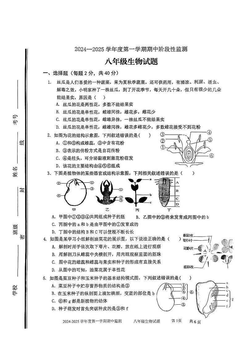 山东省枣庄市市中区2024-2025学年八年级上学期期中考试生物试题第1页