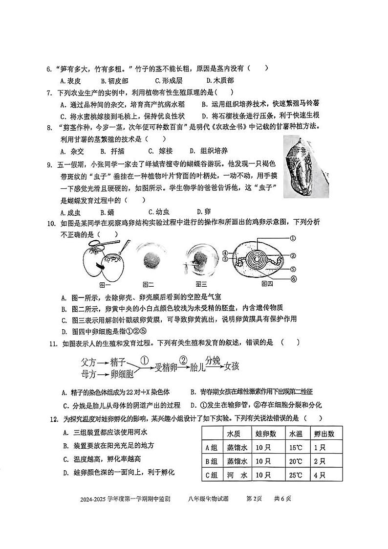 山东省枣庄市市中区2024-2025学年八年级上学期期中考试生物试题第2页
