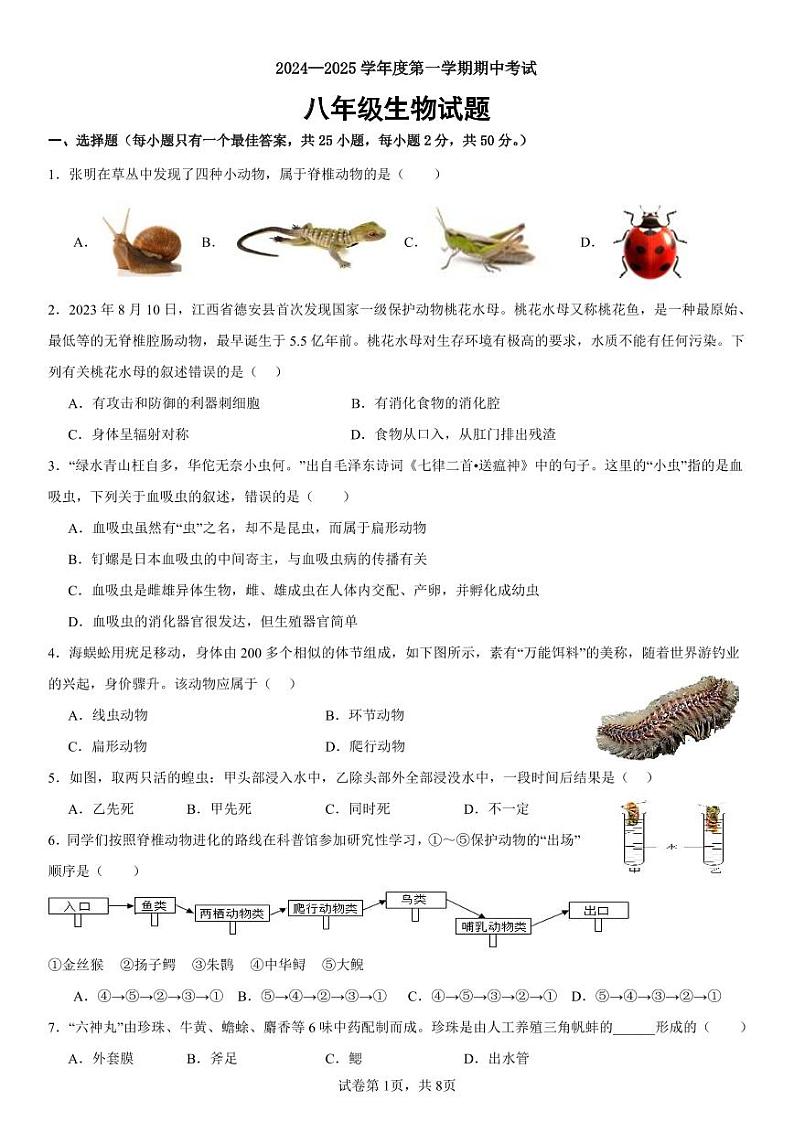 山东省烟台市经济技术开发区（五四制）2024-2025学年八年级上学期期中生物试题第1页