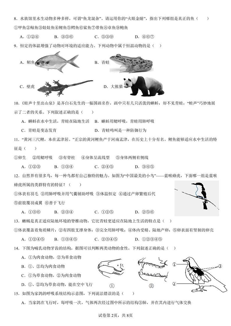 山东省烟台市经济技术开发区（五四制）2024-2025学年八年级上学期期中生物试题第2页