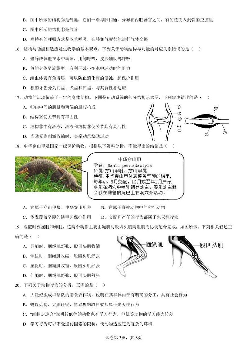山东省烟台市经济技术开发区（五四制）2024-2025学年八年级上学期期中生物试题第3页
