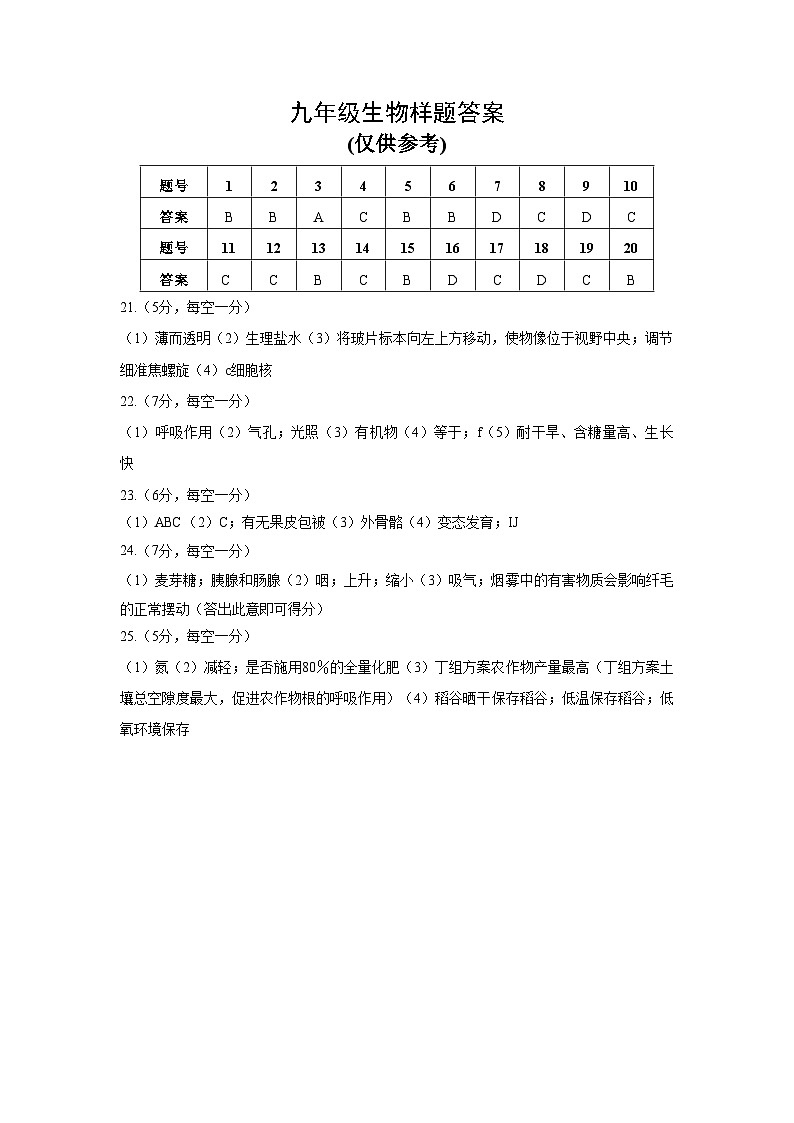 山东省菏泽市定陶区2024-2025学年九年级上学期期中考试生物试题01