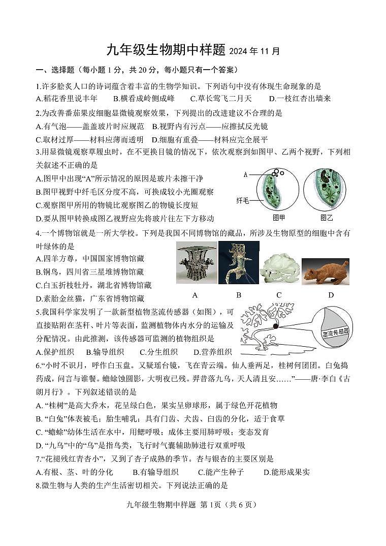 山东省菏泽市定陶区2024-2025学年九年级上学期期中考试生物试题01