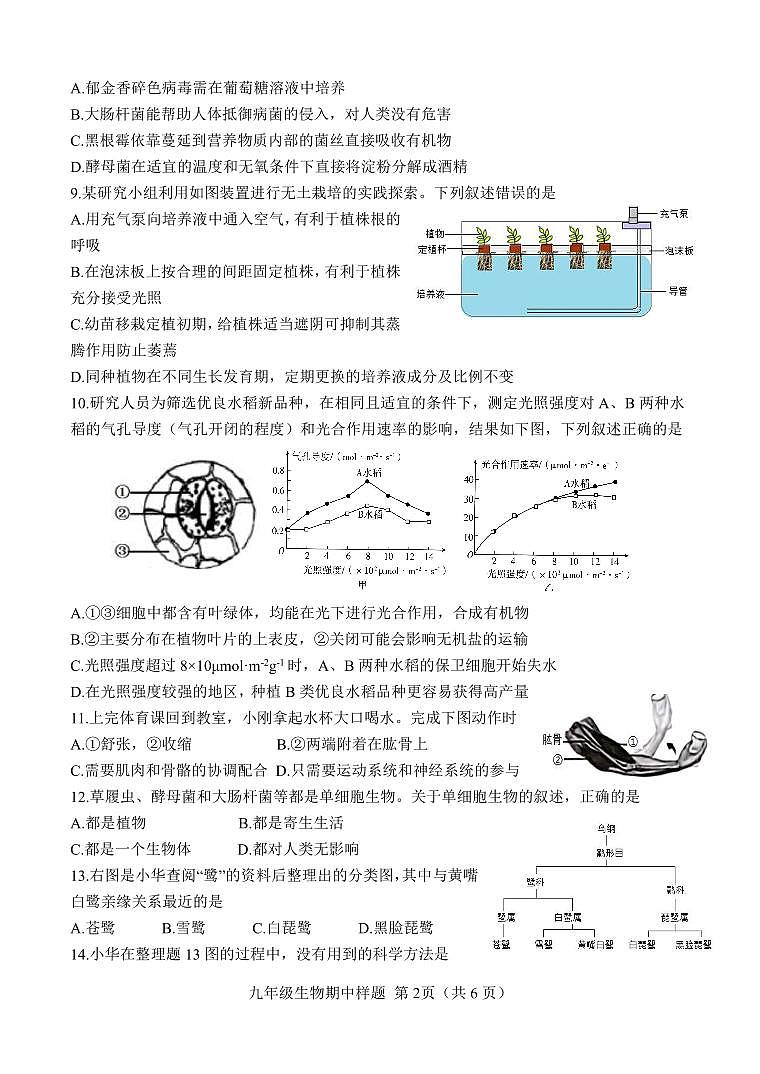 山东省菏泽市定陶区2024-2025学年九年级上学期期中考试生物试题02