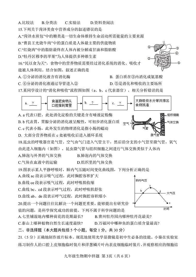 山东省菏泽市定陶区2024-2025学年九年级上学期期中考试生物试题03