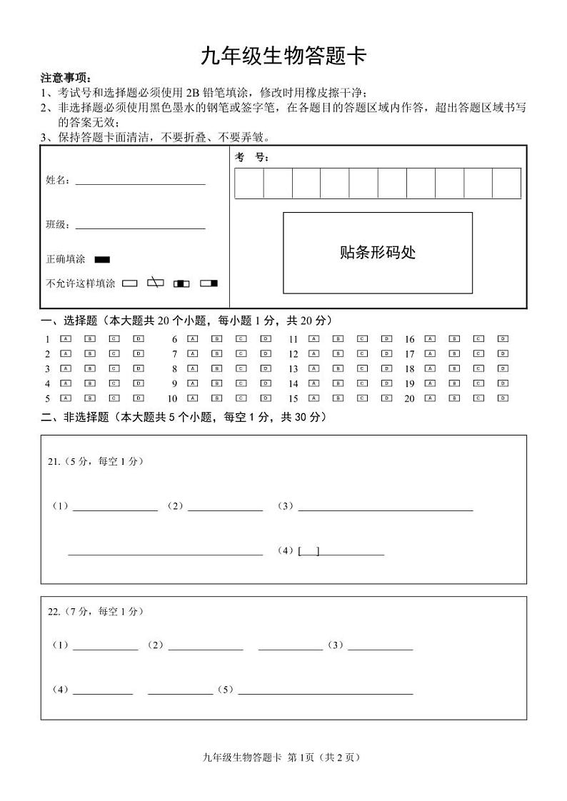 山东省菏泽市定陶区2024-2025学年九年级上学期期中考试生物试题01