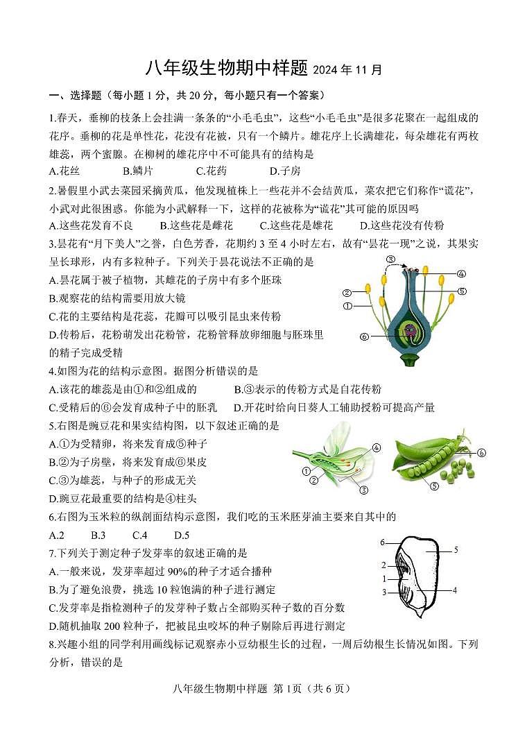 （教研室提供）山东省菏泽市定陶区2024-2025学年八年级上学期期中考试生物试题第1页