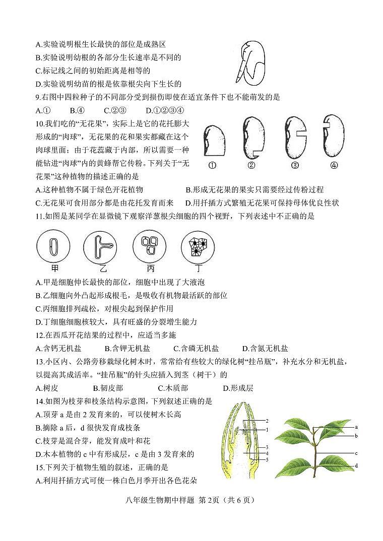 （教研室提供）山东省菏泽市定陶区2024-2025学年八年级上学期期中考试生物试题第2页