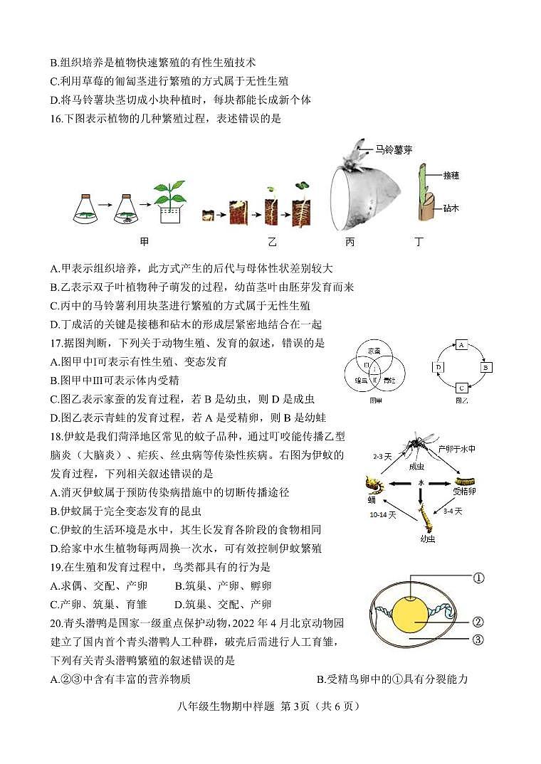 （教研室提供）山东省菏泽市定陶区2024-2025学年八年级上学期期中考试生物试题第3页