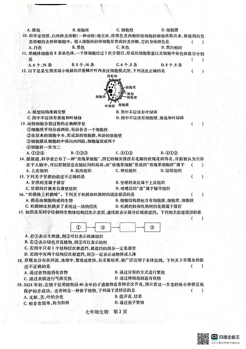 江西省九江市修水县2024-2025学年七年级上学期11月期中生物试题02